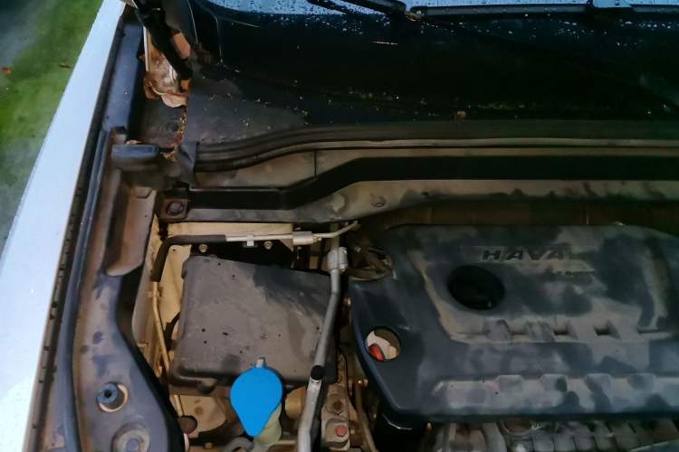 Used Haval H6 2019 2.0 GDIT Automatic Luxury Smart Connectivity Version China V Standard Engine Bay Right