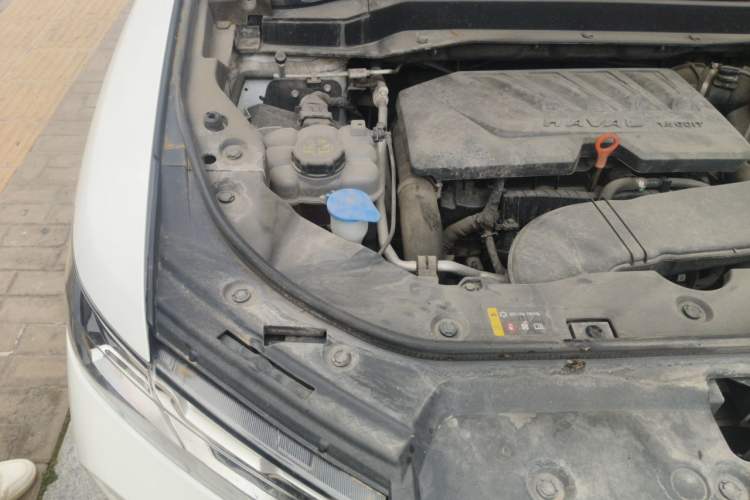 Used Haval H6 2019 1.5 GDIT Automatic Champion Edition China VI Standard Engine Bay Right