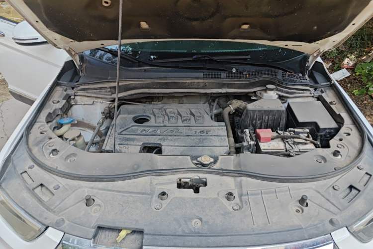 Used Haval H6 2019 Sport Edition 1.5T Automatic Two-Wheel Drive Elite Model China VI Engine Bay