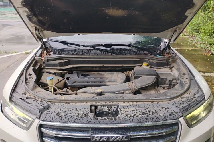 Used Haval H6 2019 Red Label 2.0 GDIT Automatic Champion Edition Engine Bay