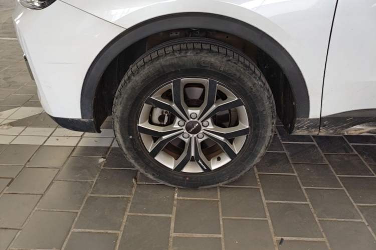 Used Haval H6 2019 1.5 GDIT Automatic Champion Edition China VI Standard Exterior 4