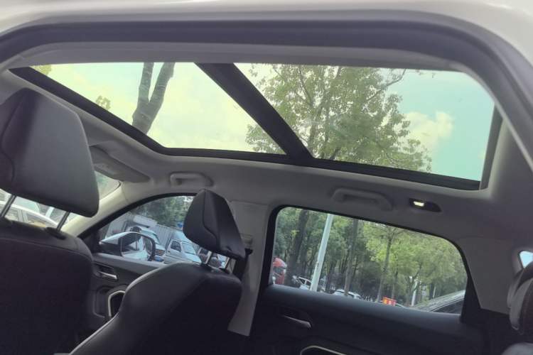 Used Haval H6 2019 1.5 GDIT Automatic Champion Edition China V Standard Headliner