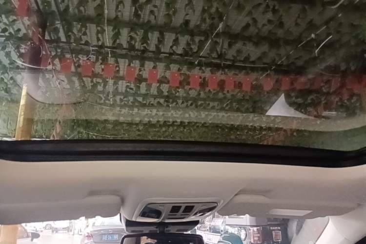 Used Haval H6 2019 2.0 GDIT Automatic Champion Edition China V Standard Headliner