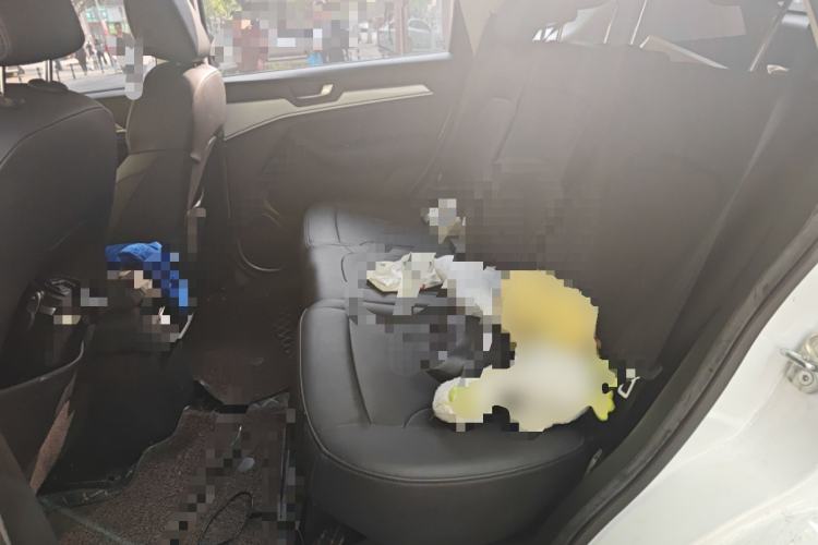 Used Haval H6 2019 Sport Edition 1.5T Automatic Two-Wheel Drive Elite Model China VI Left Rear Seat
