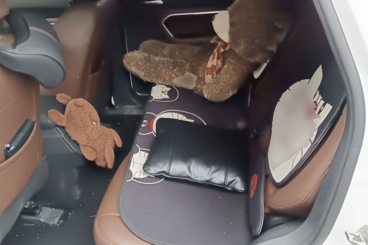 Used Haval H6 2019 1.5 GDIT Automatic Luxury Smart Connect Edition Emission Standard China V Left Rear Seat