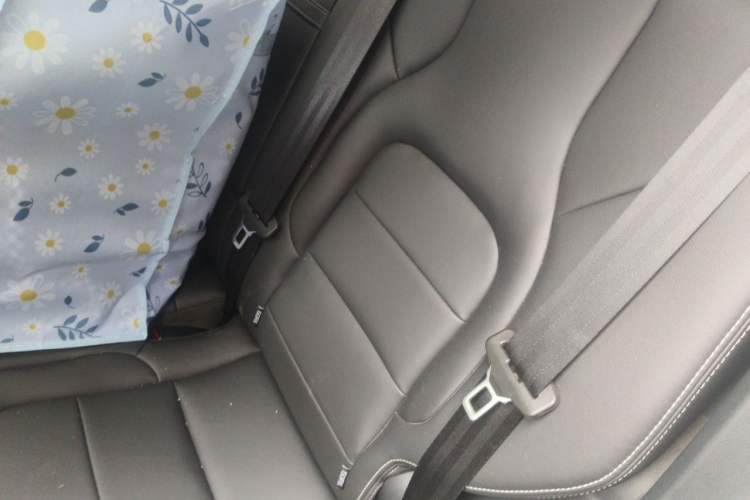 Used Haval H6 2019 1.5 GDIT Automatic Champion Edition China VI Standard Left Rear Seat