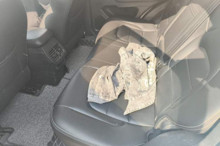 Used Haval H6 2019 Blue Label 2.0 GDIT Automatic Luxury Smart Connectivity Edition Left Rear Seat