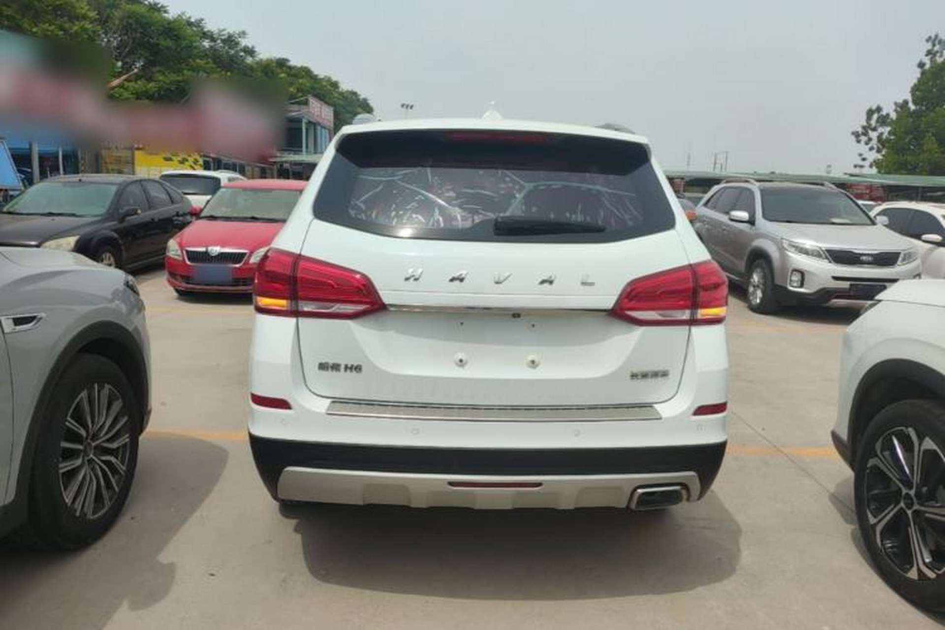 Used Haval H6 2019 Sport Edition 1.5T Automatic Two-Wheel Drive Elite Model China VI Rear