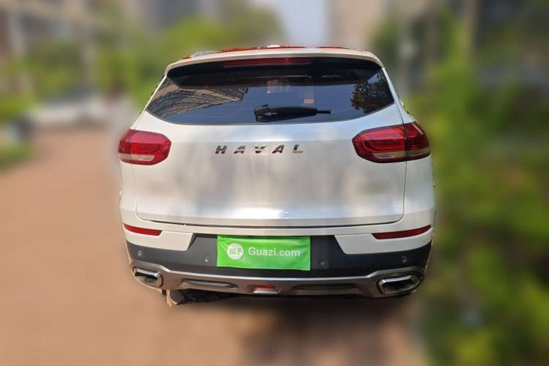 Used Haval H6 2019 1.5 GDIT Automatic Champion Edition China V Standard Rear
