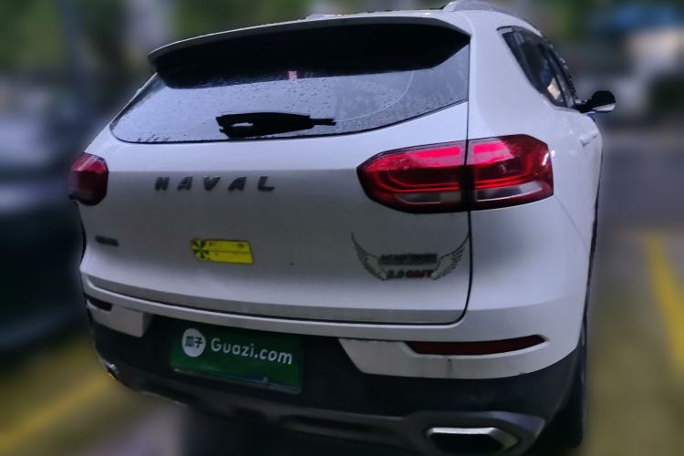 Used Haval H6 2019 2.0 GDIT Automatic Luxury Smart Connectivity Version China V Standard Rear
