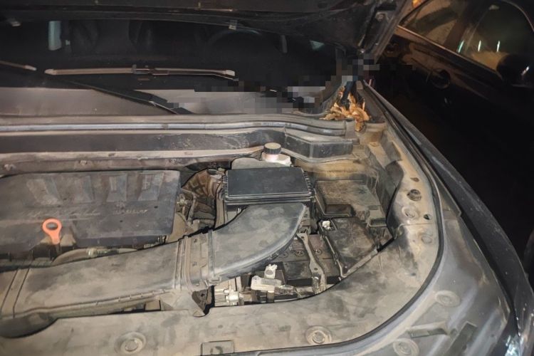 Used Haval H6 2020 1.5 GDIT Automatic Platinum Urban Edition Engine Bay Left