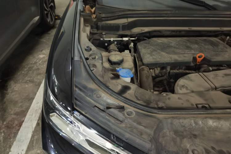 Used Haval H6 2020 1.5 GDIT Automatic Platinum Supreme Edition Engine Bay Right