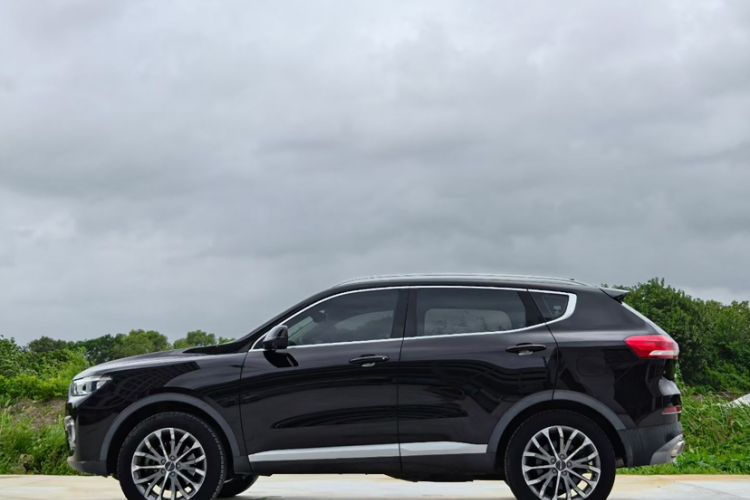 Used Haval H6 2020 1.5 GDIT Automatic Platinum Champion Edition Exterior 1
