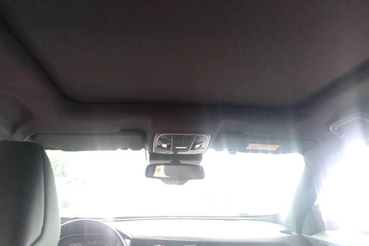 Used Haval H6 2020 2.0 GDIT Automatic GT Power Edition Headliner