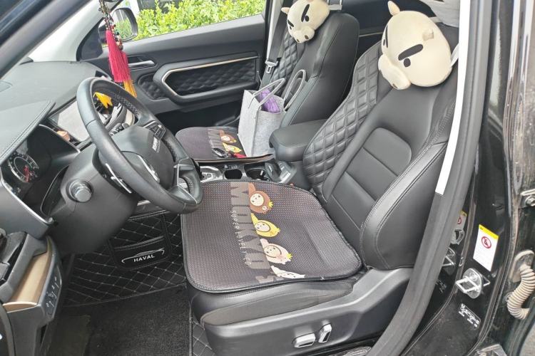 Used Haval H6 2020 1.5 GDIT Automatic Platinum Champion Edition Left Front Seat
