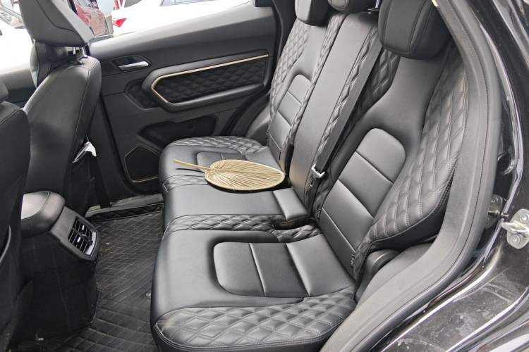 Used Haval H6 2020 1.5 GDIT Automatic Platinum Urban Edition Left Rear Seat