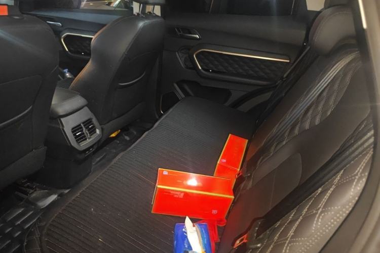 Used Haval H6 2020 1.5 GDIT Automatic Platinum Urban Edition Left Rear Seat