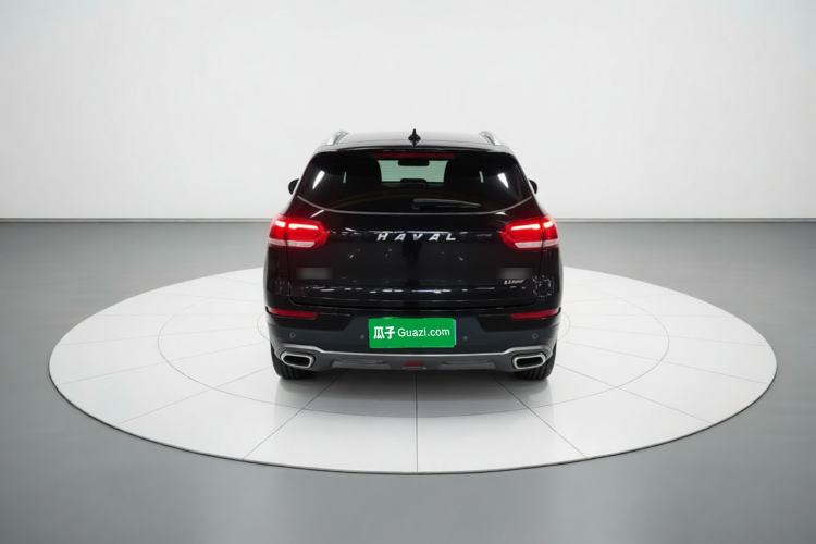 Used Haval H6 2020 2.0 GDIT Automatic Platinum Champion Edition Rear
