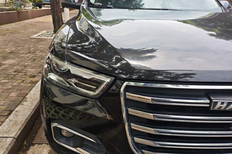 Used Haval H6 2020 1.5 GDIT Automatic Platinum Champion Edition Right Front Headlight