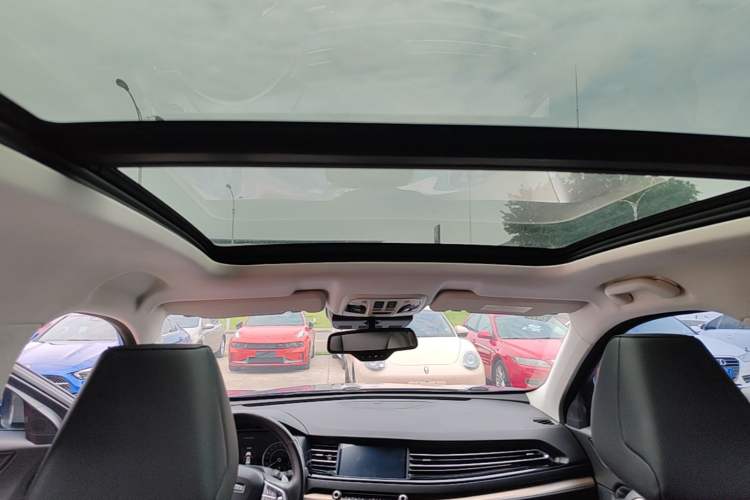 Used Haval H6 2020 1.5 GDIT Automatic Platinum Champion Edition Headliner