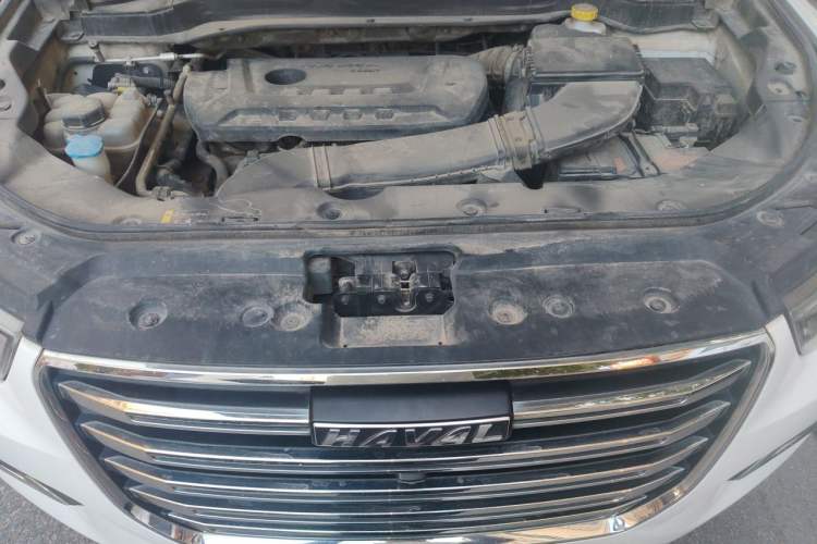 Used Haval H6 2020 2.0 GDIT Automatic Platinum Champion Edition Engine Bay