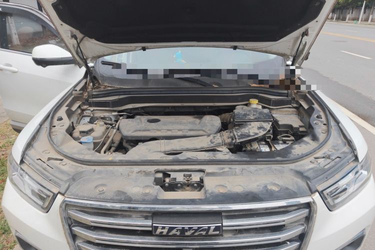 Used Haval H6 2020 2.0 GDIT Automatic Platinum Champion Edition Engine Bay