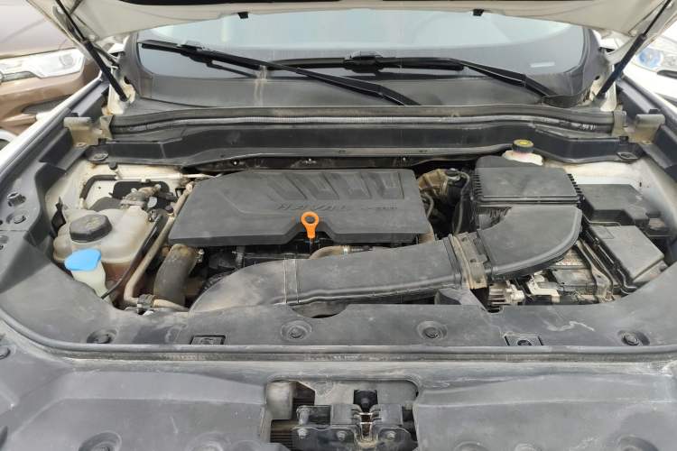 Used Haval H6 2020 1.5 GDIT Automatic Platinum Champion Edition Engine Bay