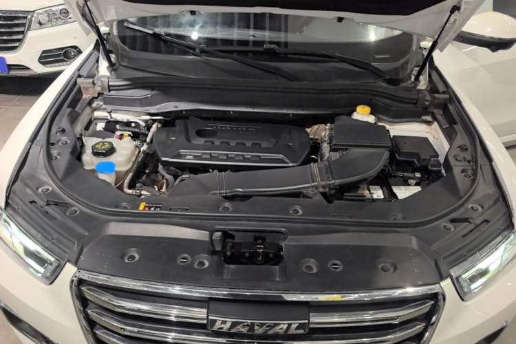 Used Haval H6 2020 2.0 GDIT Automatic Platinum Champion Edition Engine Bay