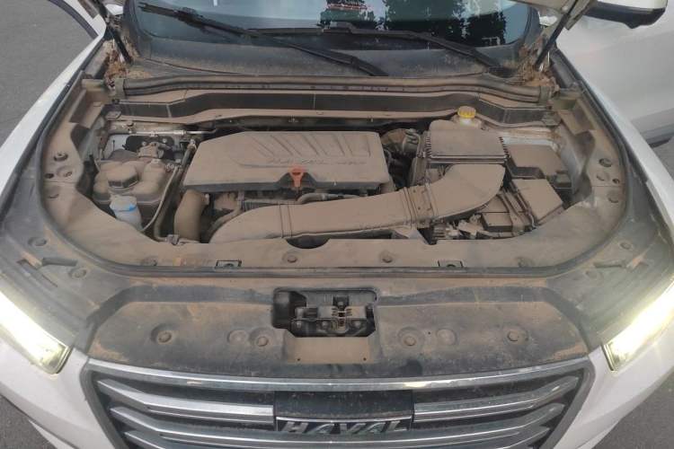 Used Haval H6 2020 1.5 GDIT Automatic Platinum Supreme Edition Engine Bay