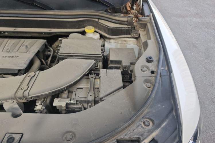 Used Haval H6 2020 1.5 GDIT Automatic Platinum Urban Edition Engine Bay Left