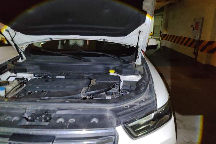Used Haval H6 2020 2.0 GDIT Automatic Platinum Champion Edition Engine Bay Left