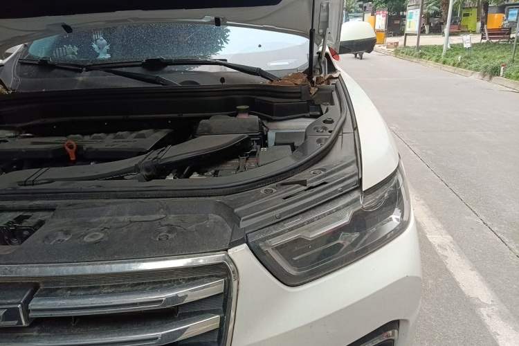 Used Haval H6 2020 1.5 GDIT Automatic Platinum Champion Edition Engine Bay Left