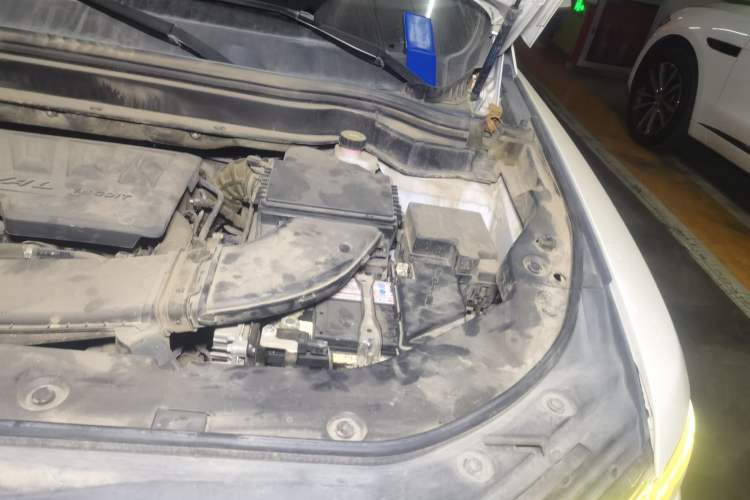 Used Haval H6 2020 1.5 GDIT Automatic Platinum Champion Edition Engine Bay Left