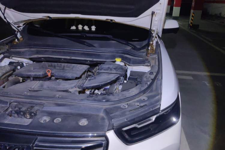 Used Haval H6 2020 1.5 GDIT Automatic Platinum Champion Edition Engine Bay Left
