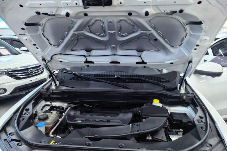 Used Haval H6 2020 2.0 GDIT Automatic Platinum Luxury Edition Engine Bay
