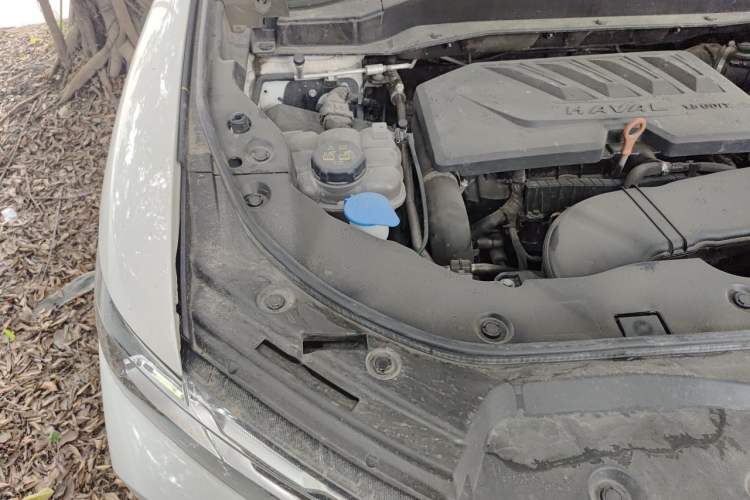 Used Haval H6 2020 1.5 GDIT Automatic Platinum Champion Edition Engine Bay Right