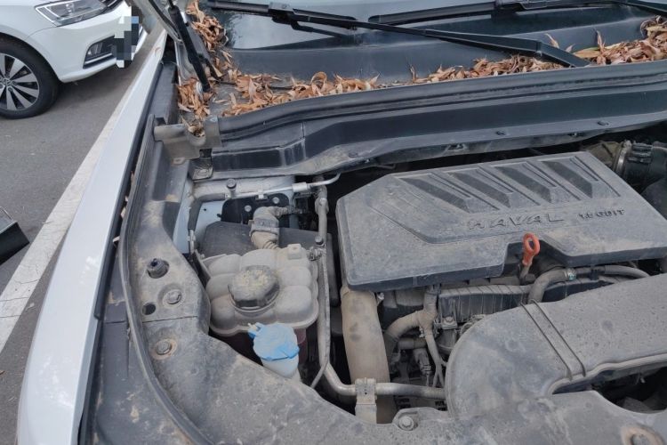 Used Haval H6 2020 1.5 GDIT Automatic Platinum Champion Edition Engine Bay Right