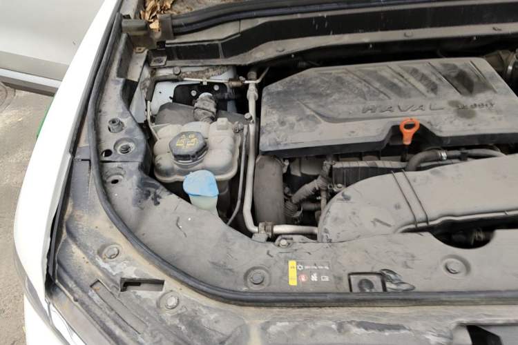Used Haval H6 2020 1.5 GDIT Automatic Platinum Champion Edition Engine Bay Right