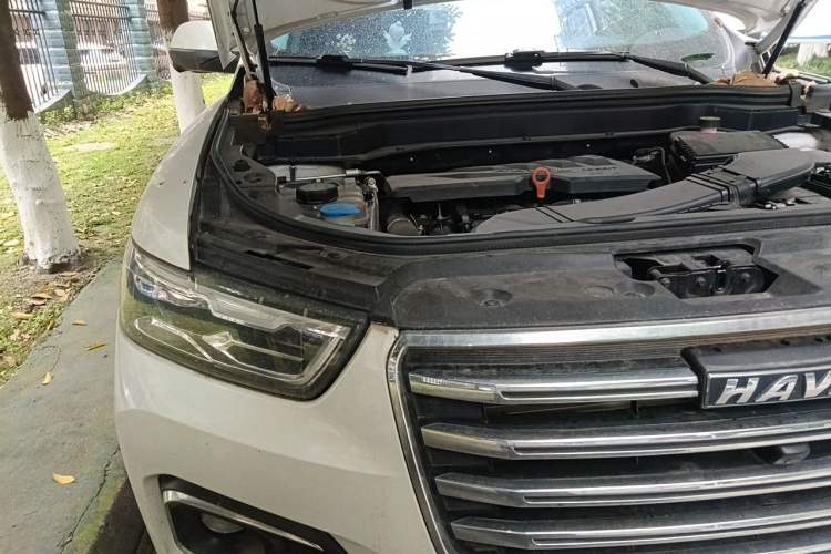 Used Haval H6 2020 1.5 GDIT Automatic Platinum Champion Edition Engine Bay Right