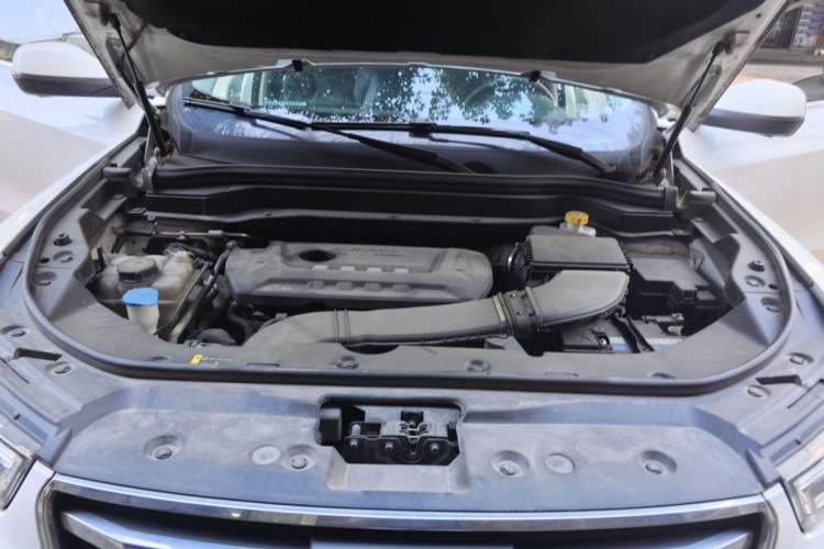 Used Haval H6 2020 2.0 GDIT Automatic Platinum Champion Edition Engine Bay