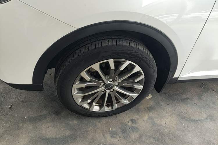 Used Haval H6 2020 1.5 GDIT Automatic Platinum Champion Edition Exterior 1