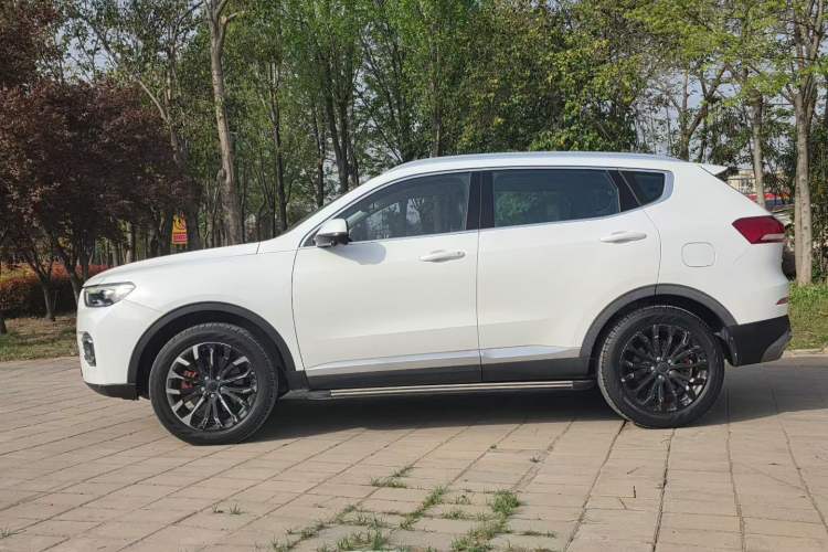 Used Haval H6 2020 1.5 GDIT Automatic Platinum Champion Edition Exterior 2