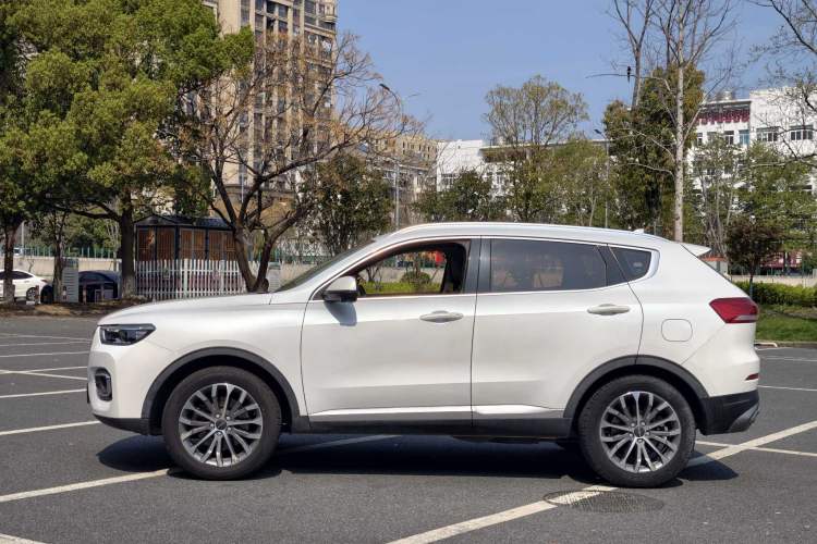 Used Haval H6 2020 1.5 GDIT Automatic Platinum Champion Edition Exterior 3