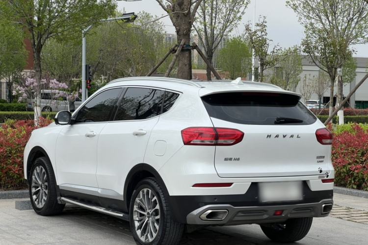 Used Haval H6 2020 2.0 GDIT Automatic Platinum Champion Edition Exterior 4