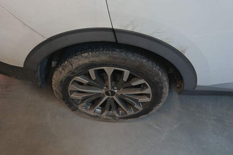 Used Haval H6 2020 2.0 GDIT Automatic Platinum Champion Edition Exterior 5