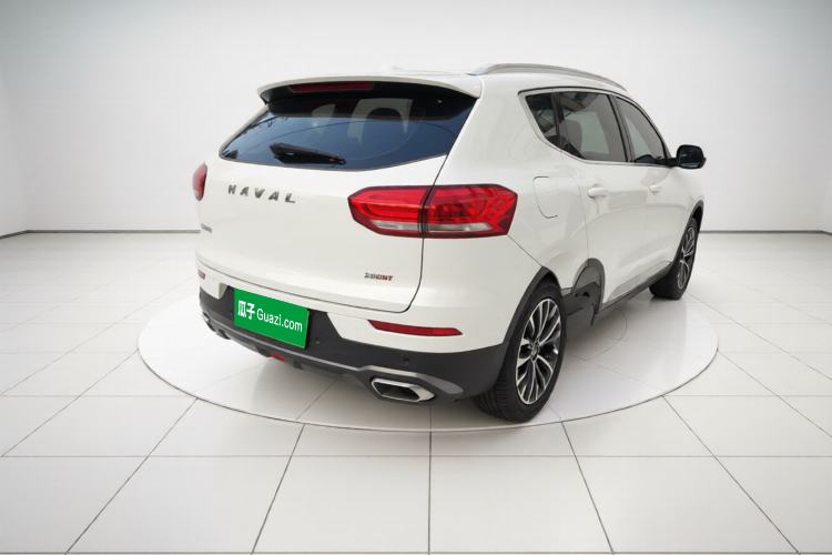 Used Haval H6 2020 2.0 GDIT Automatic Platinum Champion Edition Exterior 5