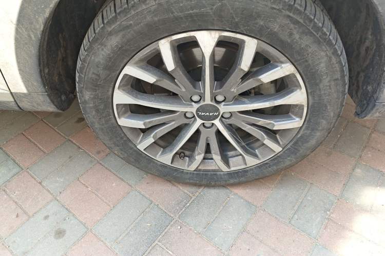 Used Haval H6 2020 2.0 GDIT Automatic Platinum Champion Edition Exterior 7