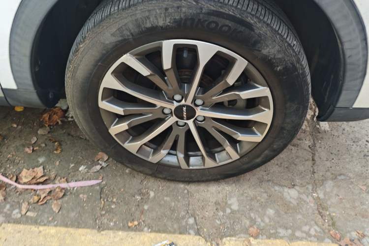 Used Haval H6 2020 2.0 GDIT Automatic Platinum Champion Edition Exterior 7