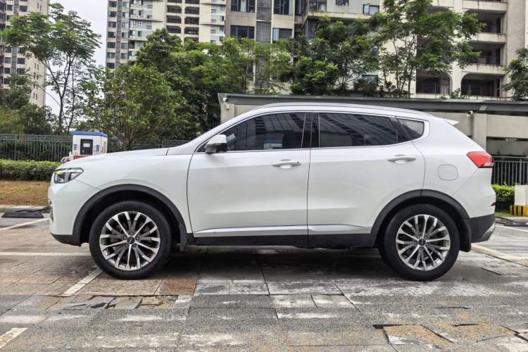 Used Haval H6 2020 1.5 GDIT Automatic Platinum Champion Edition Exterior 8