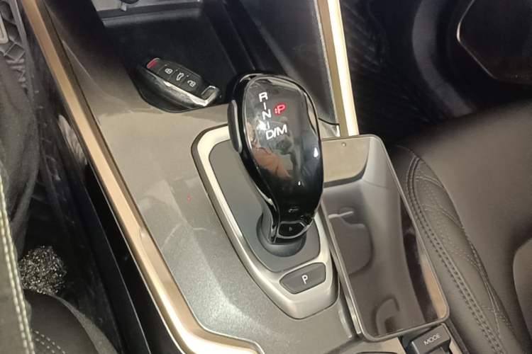 Used Haval H6 2020 1.5 GDIT Automatic Platinum Luxury Edition Gear Lever